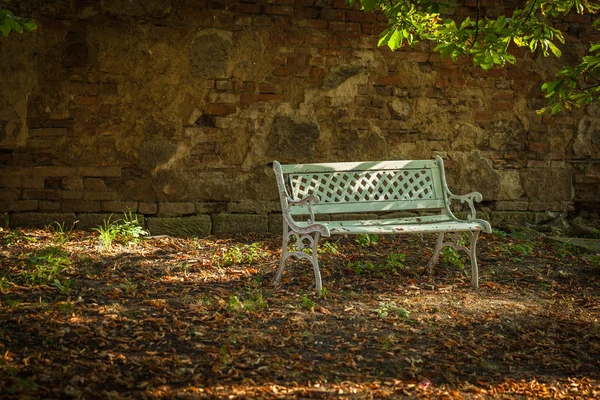 yalnız beyaz tezgah kentsel sonbahar Park