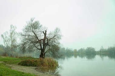 Bulutlu havalarda doğal göl sonbahar güzelliği