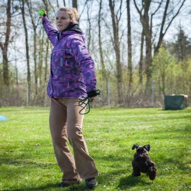 Köpek çeviklik antrenörle greenfield egzersizleri üzerinde