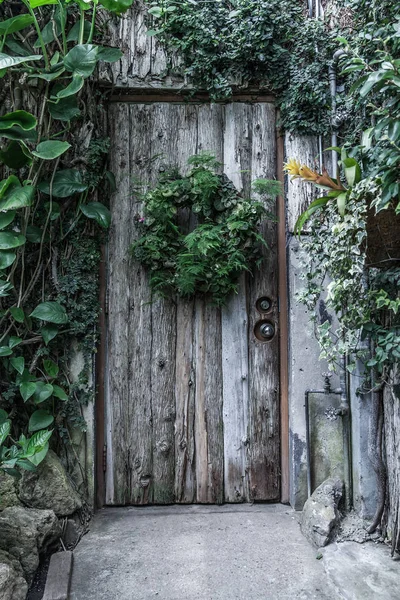 Porte en bois dans un ancien chalet dans la forêt couverte d'herbe — Photo