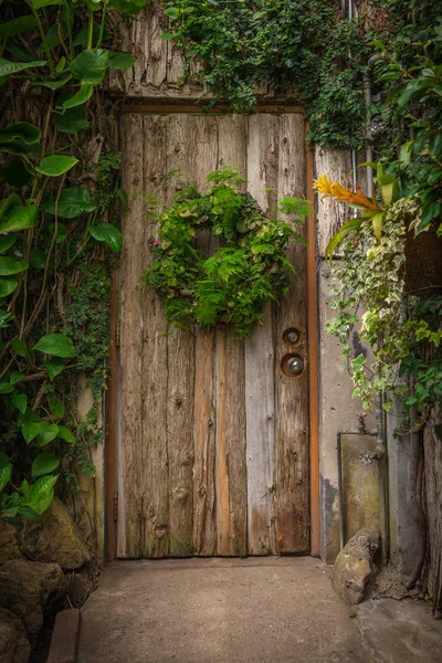 Porte en bois dans un ancien chalet dans la forêt couverte d'herbe — Photo