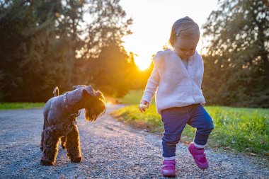 Mutlu çocuk ve köpekleri siyah schnauzer sonbahar parkında eğleniyor.