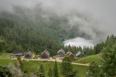 Avustralya Alplerindeki yürüyüşçüler göllerin etrafındaki ormanlarda dağ yürüyüşü patikalarında yürürler.