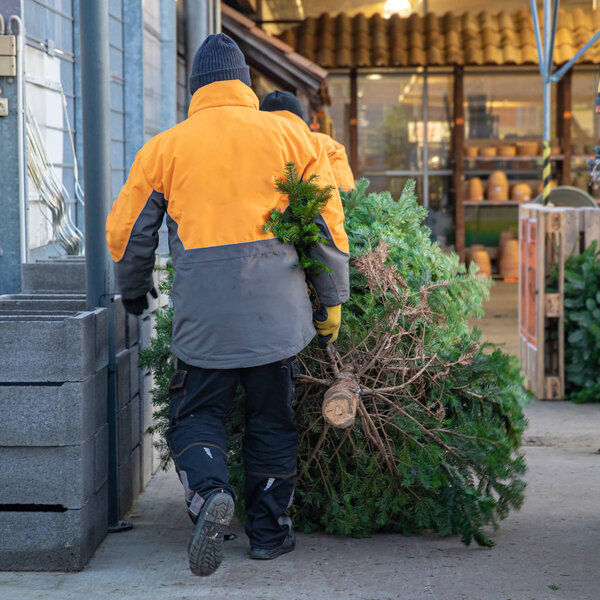 men carrying a Christmas tree to the client in the department store