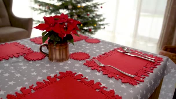 Feestelijke tafelschikking voor kerstvakantie. bereiding van de eetset — Stockvideo