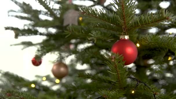 Červené sklo vánoční koule na stromě — Stock video