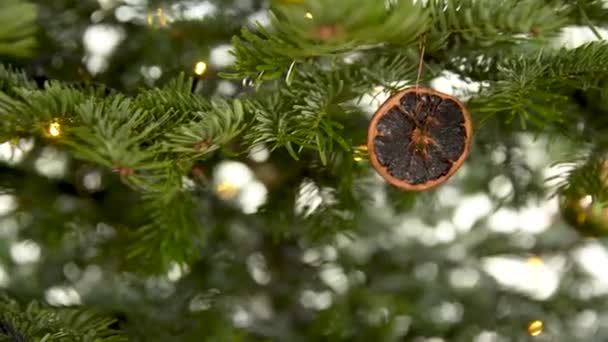 Fruits secs comme décoration sur un sapin de Noël — Video