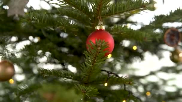 Boules de Noël en verre rouge sur l'arbre — Video