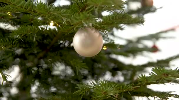 Weihnachtsbaum mit silbernen Glaskugeln schmücken — Stockvideo