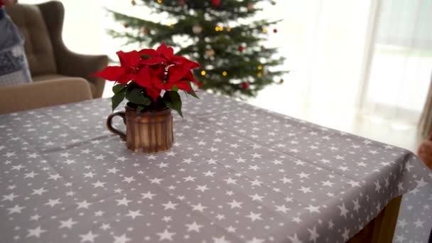 Ajuste de mesa festivo para Navidad, manteles y estrellas de Navidad — Vídeos de Stock