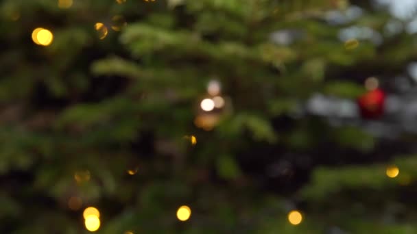 크리스마스 트리의 은색 유리 공 — 비디오