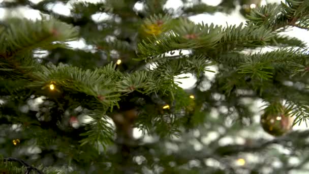Mujer pone naranjas secas en el árbol de Navidad como decoración — Vídeo de stock