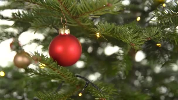 Boules de Noël en verre rouge sur l'arbre — Video