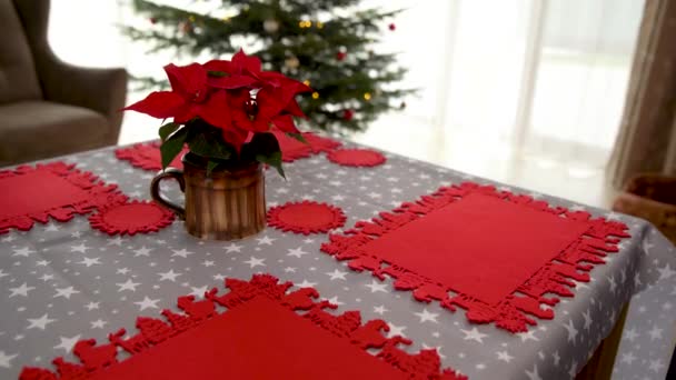 Escenario de mesa festiva para las vacaciones de Navidad. preparación de estrellas de Navidad y alfombras rojas — Vídeos de Stock