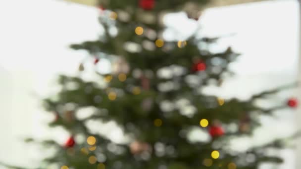 Silhouette floue d'un sapin de Noël décoré pour Noël — Video