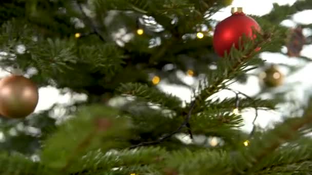 크리스마스를 기념하기 위해 나무를 꾸미는 모습 — 비디오