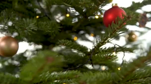 Decorating the tree for Christmas holidays in winter — Stock Footage Decorating the tree for Christmas holidays in winter Stock Footage