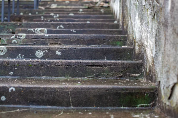 Старая бетонная лестница на стадионе покрыта грязью и плесенью — стоковое фото