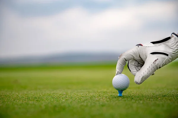 Ένας παίκτης του γκολφ ετοιμάζει μια μπάλα του γκολφ σε ένα πράσινο γήπεδο — Φωτογραφία Αρχείου