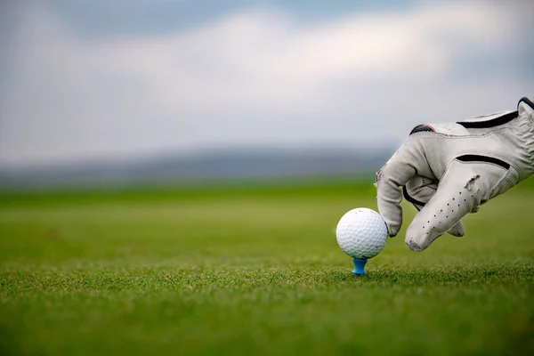 Mão em luva de couro branco endireita bola de golfe no campo de golfe verde — Fotografia de Stock