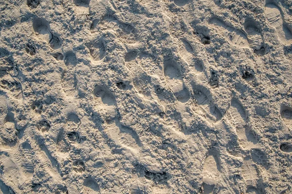 Rastros en la arena de zapatos y patas de animales en la playa — Foto de Stock