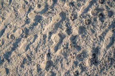 Ayakkabı, bacak ve hayvan pençeli kumsal kumu