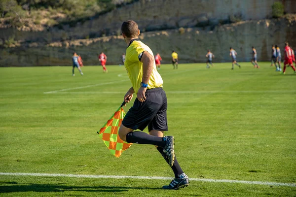Maçı izleyen bir futbol maçında yardımcı hakem.