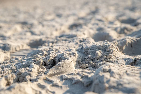 Sand am Strand mit Schuhen, Beinen und tierischen Pfoten — Stockfoto