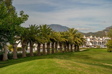 Lüks konaklama ve hizmetleri olan bir golf tesisi, palmiye ağaçları ve manzarası olan tropikal bir geçitte