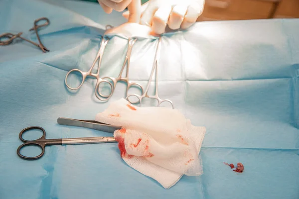 Closeup of hands and surgical instruments during abdominal surgery in veterinary clinic — Stock Photo, Image