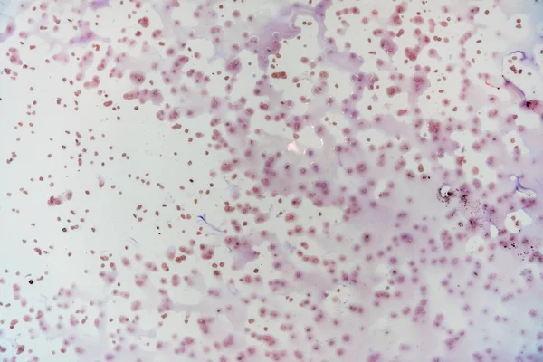 Taches bleues de la teinture dans le bain blanc se dissout dans l'eau — Photo