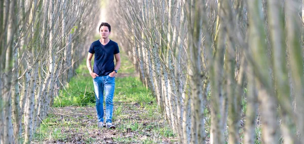 Um jovem caminha através de uma fileira de árvores em uma floresta plantada por um homem para restaurar a natureza — Fotografia de Stock