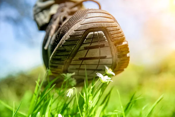 Ανθρώπινο πόδι σε ένα παπούτσι ποδοπατά λευκά λουλούδια σε ένα πράσινο πεδίο — Φωτογραφία Αρχείου