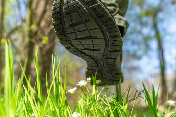 Mens zapato pisotea flores en un prado verde, la gente destruye la naturaleza —  Fotos de Stock