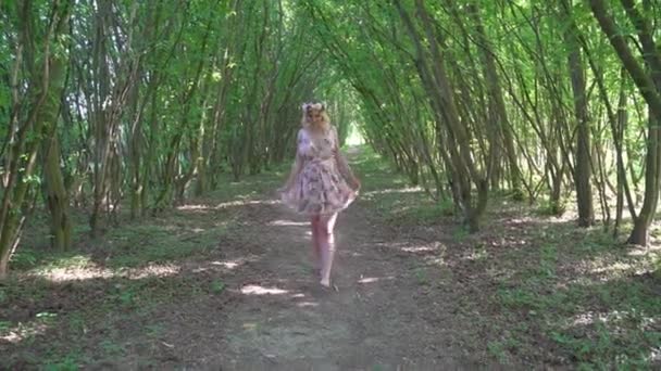 Junges Mädchen in einem Kleid mit einem Blumenkranz auf dem Kopf geht einen Waldweg entlang — Stockvideo