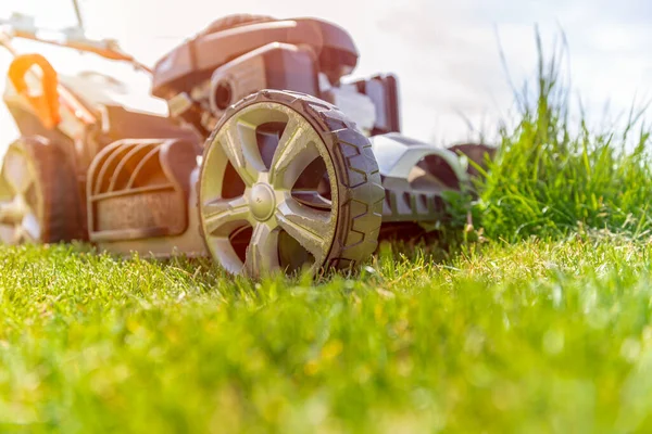 Kosiarka silnikowa do koszenia zielonego trawnika. Słońce świeci na trawie — Zdjęcie stockowe