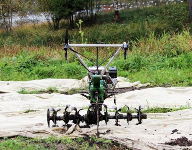 Gatchina Parkı 'nda çalışan bir dümenci iş için bekliyor.