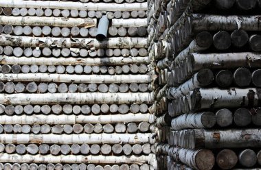 Ağaç gövdelerinin deseni evin duvarlarına istiflenmiş..