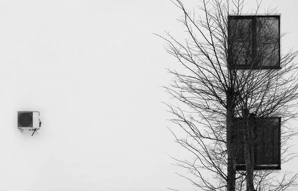 White wall, two windows, tree and air conditioner — Stock Photo, Image