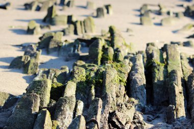 Rafts'ı için Kuzey Dvina nehir kıyısında antik tarihi ahşap platform toplanan kereste drift yüzen günlüğe kaydeder.