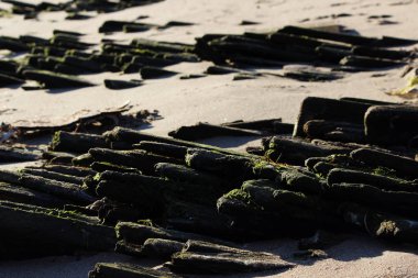 Rafts'ı için Kuzey Dvina nehir kıyısında antik tarihi ahşap platform toplanan kereste drift yüzen günlüğe kaydeder.