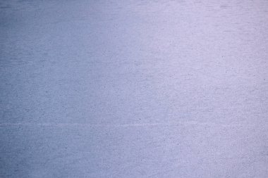 Beyaz lake mavi buzlu suda.