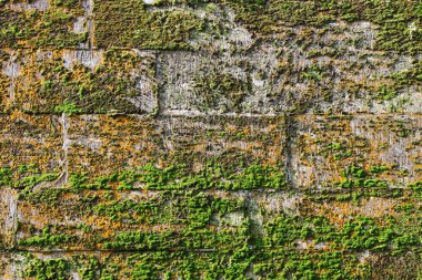 doku kireçtaşı blokları duvar antik palace'nın yeşil ve kırmızı yosun kaplı. Yaş 17 yüzyıl.