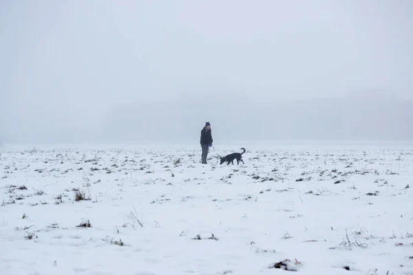 Дівчина Собака Гуляють Вакантній Ділянці Тумані Вранці — стокове фото