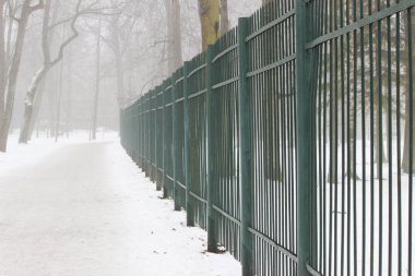 Parktaki metal çitler sisli bir sabahta yeşile boyandı.