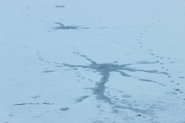 Покрытые Льдом Следами Животных Отверстие Камня Падения — стоковое фото
