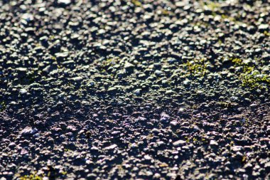 Eski terk edilmiş bir otoyolda asfalt dokusu