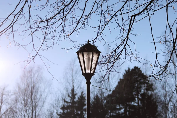 Lantaarn in het park in het zonovergoten voorjaar door de zon. — Stockfoto