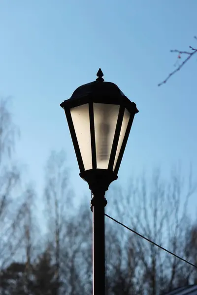 Lanterna no parque na primavera iluminada pelo sol . — Fotografia de Stock