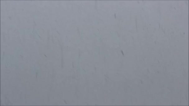 Neve Cinza Cai Céu Flocos Queda Neve Inverno — Vídeo de Stock